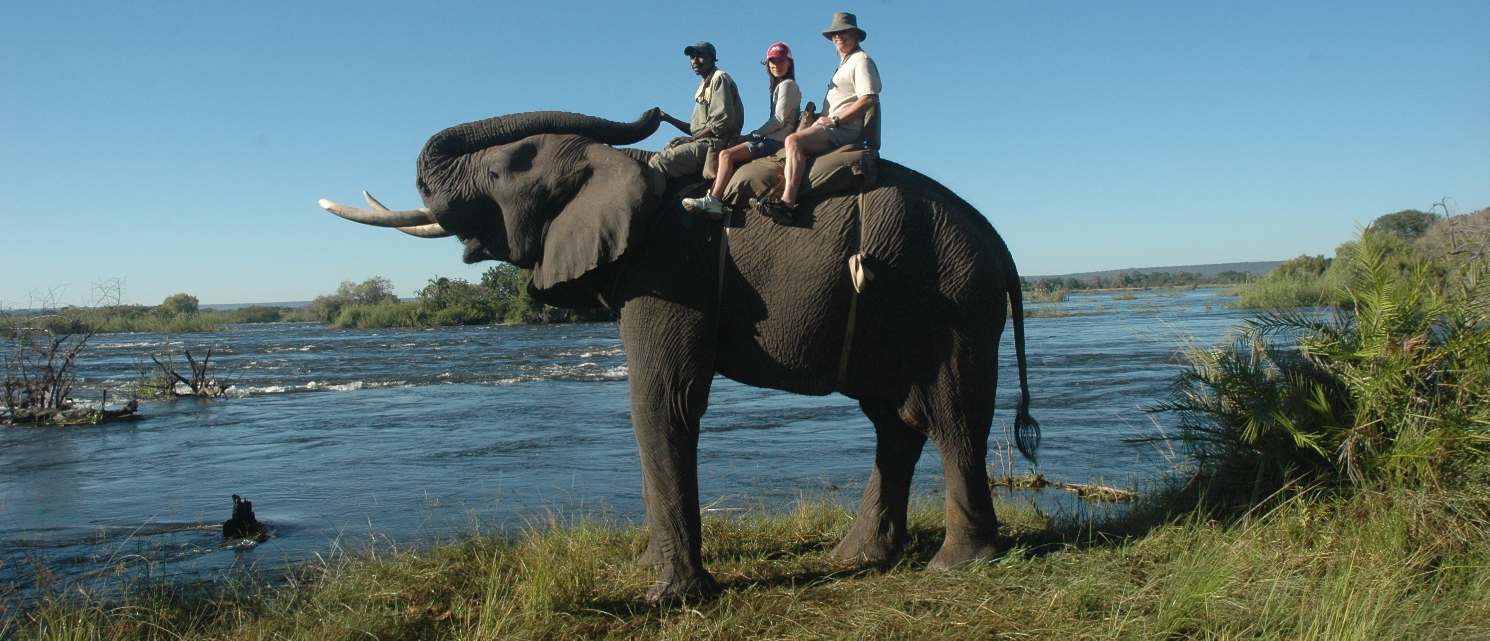 Elephant tour