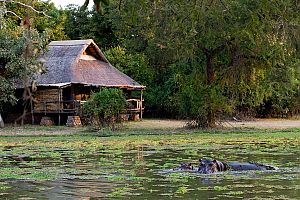 Chalet Exterior - Mfuwe Lodge South Luangwa